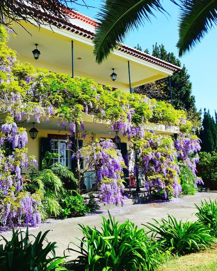 Quinta Do Cabouco Hotel Ribeira Brava Kültér fotó