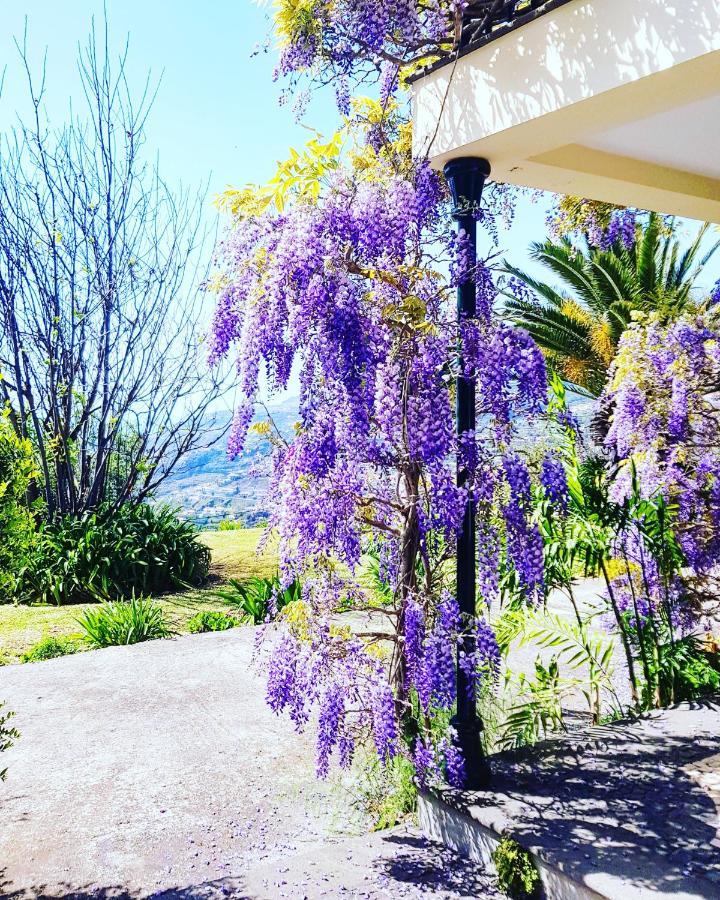 Quinta Do Cabouco Hotel Ribeira Brava Kültér fotó