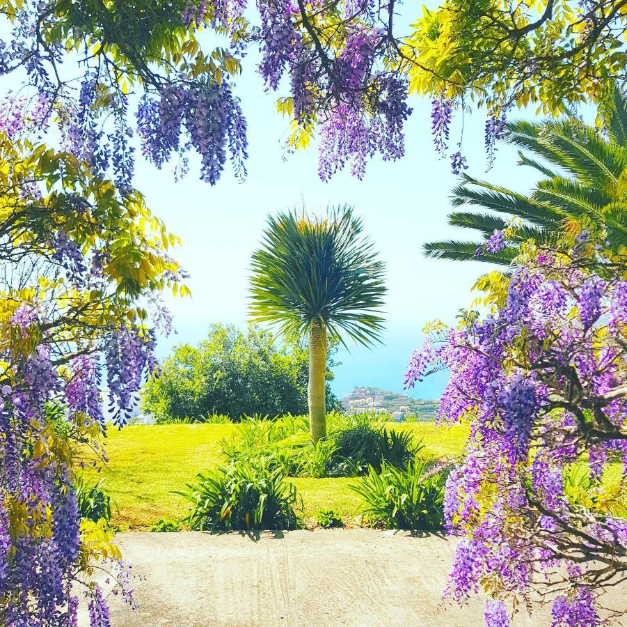 Quinta Do Cabouco Hotel Ribeira Brava Kültér fotó