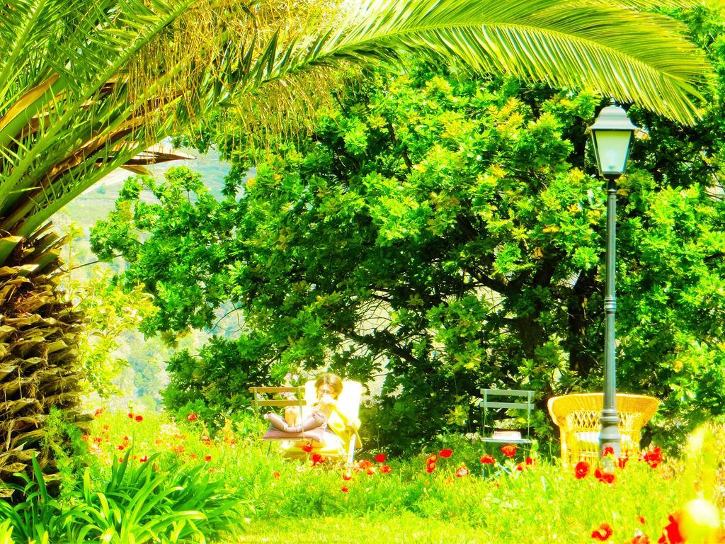Quinta Do Cabouco Hotel Ribeira Brava Kültér fotó