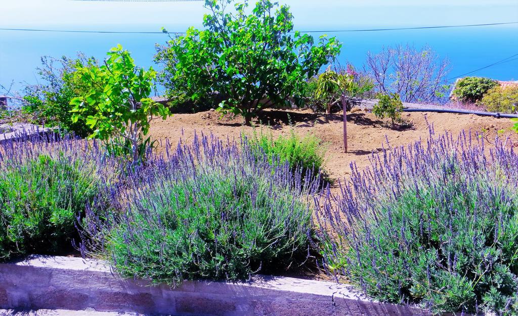 Quinta Do Cabouco Hotel Ribeira Brava Kültér fotó