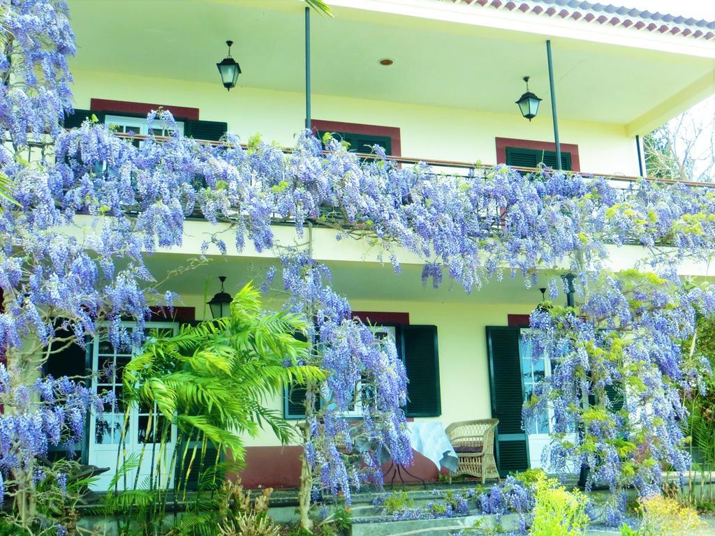 Quinta Do Cabouco Hotel Ribeira Brava Kültér fotó